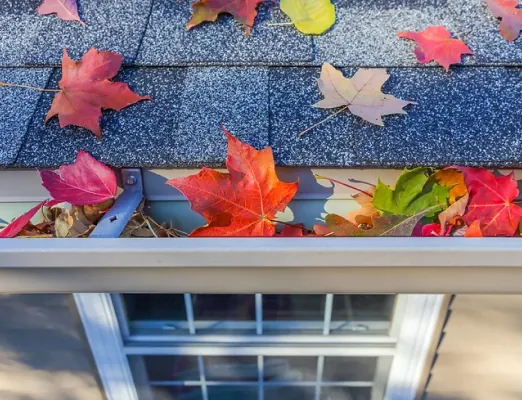 Gutter packed with fallen leaves and needing clearing